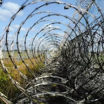 33 Loops Coil - Steel CBT-65 Razor Wire for Wire Fencing - Galvanized Steel Wire Alternative to Barbed Wire and Concertina Wire - 50 feet per roll