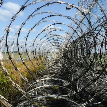 33 Loops Coil - Steel CBT-65 Razor Wire for Wire Fencing - Galvanized Steel Wire Alternative to Barbed Wire and Concertina Wire - 50 feet per roll